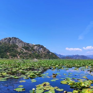 Dernier post des photos de cet été 🫡